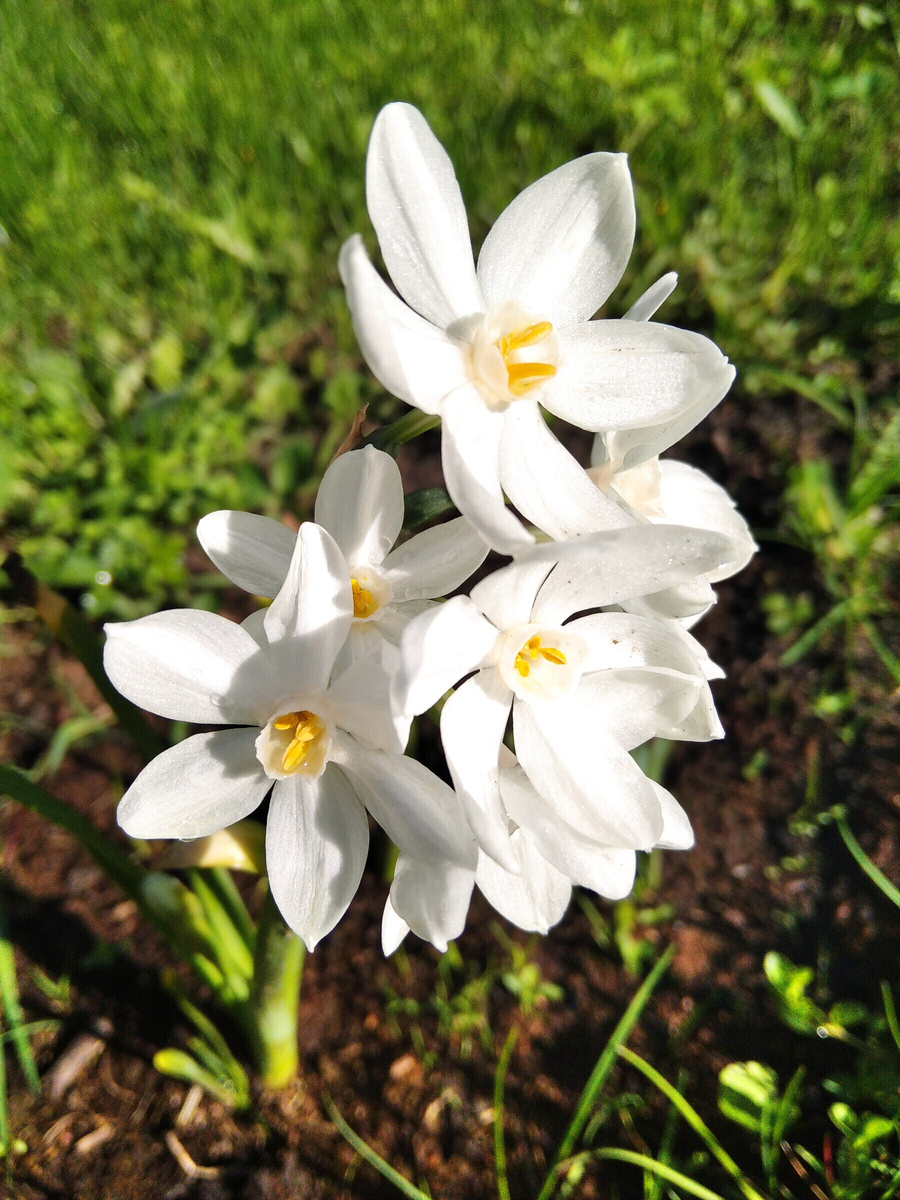 Весна 2924 года