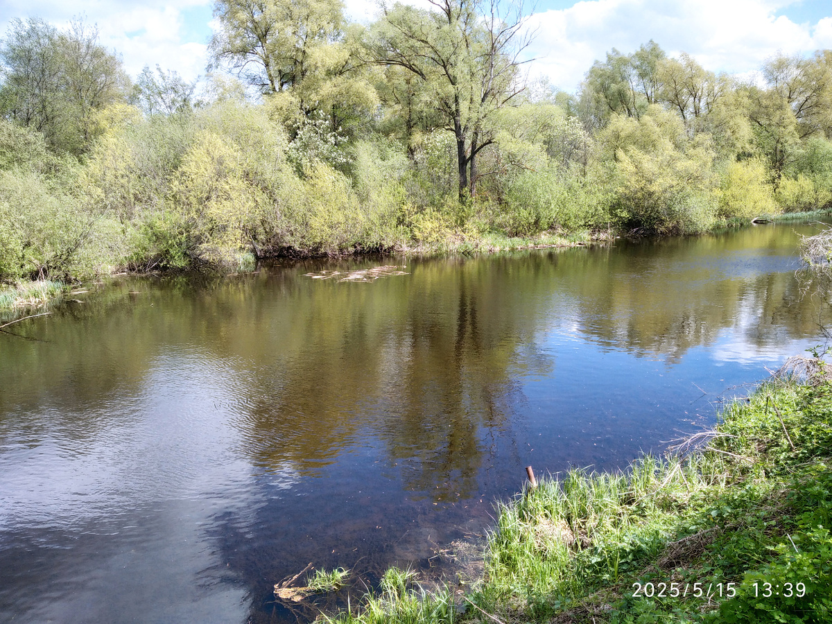 Речка чуть ниже, около нас все видели на видео, где поют соловьи