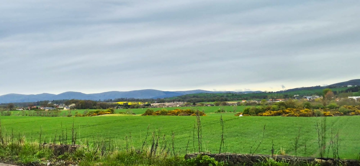 Фото из личного архива.