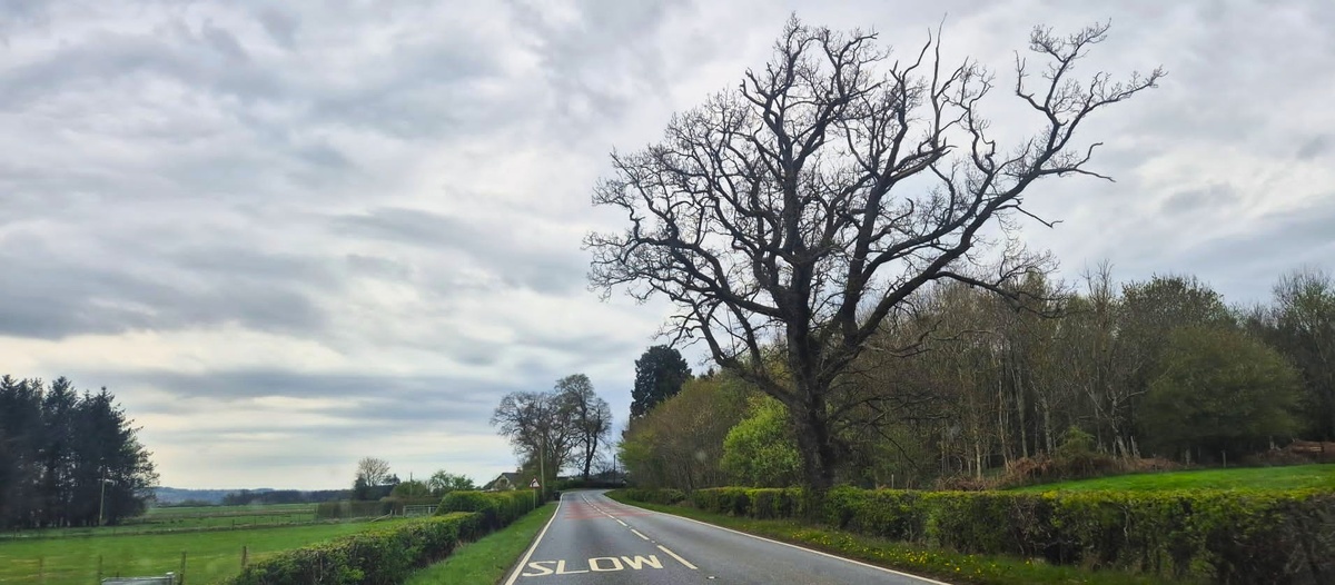 Фото из личного архива