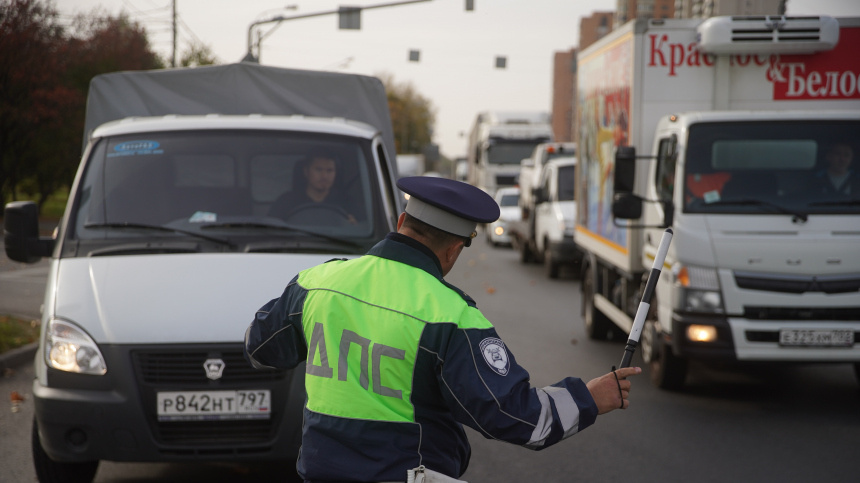    Фото: ИЗВЕСТИЯ/Эдуард Корниенко; 5-tv.ru