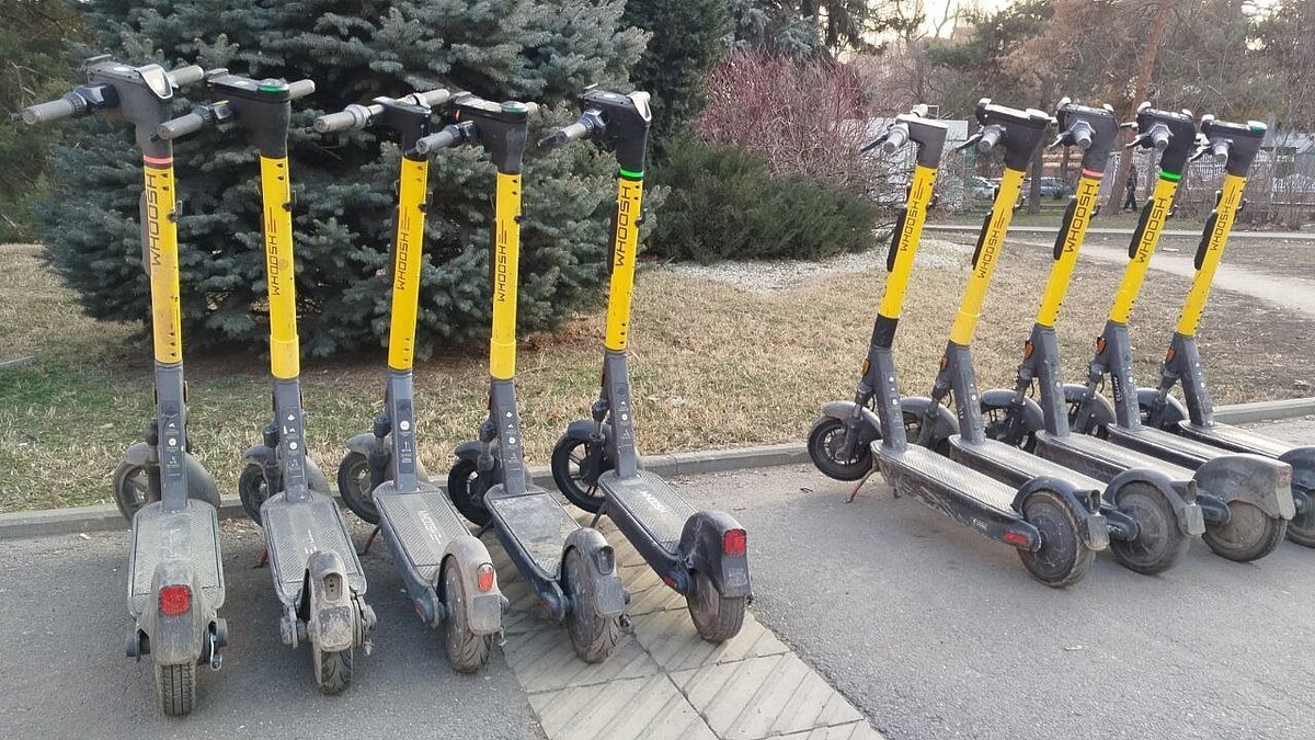    Фото: телеканал «Краснодар»