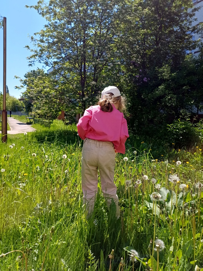 одуванчики в саду ПНД