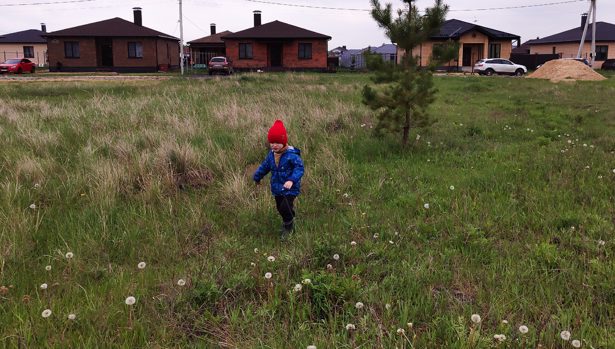 А за окошком месяц май... А Ян в зимнем свитере. 
