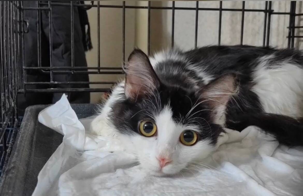 Красимир после черепно-мозговой травмы. На носу еще ссадина не зажила. Фото из архива автора 