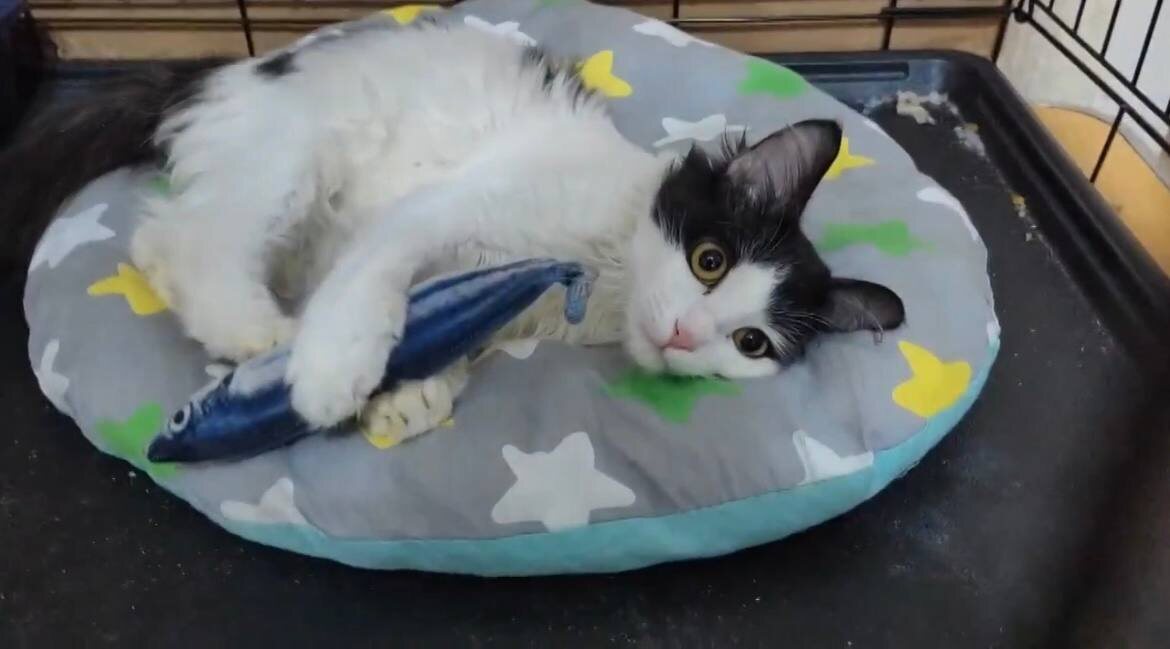 Красимир весь в подарках. Передавал большое спасибо! Фото из архива автора 