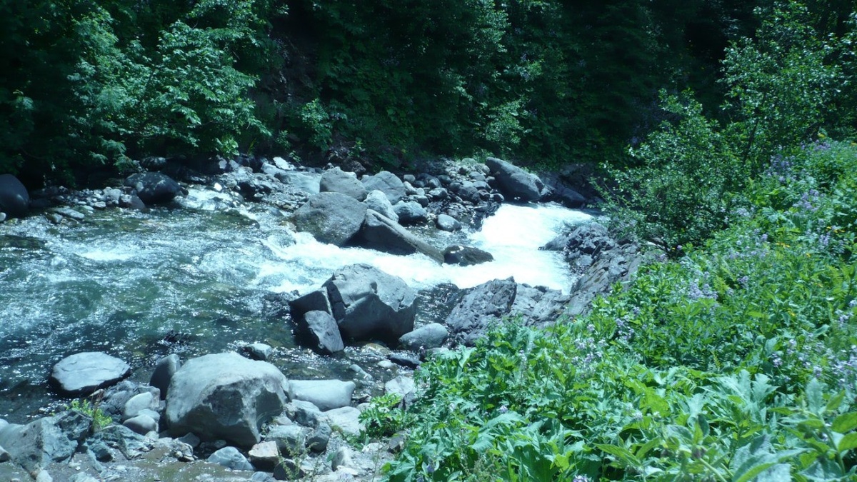 Фото автора. Абхазия.