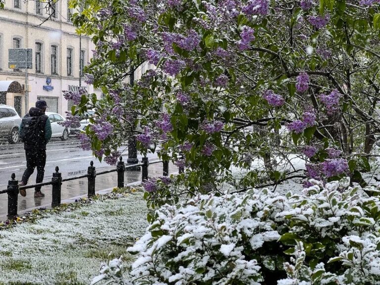    Фото: Общественная Служба Новостей Екатерина Шахнина