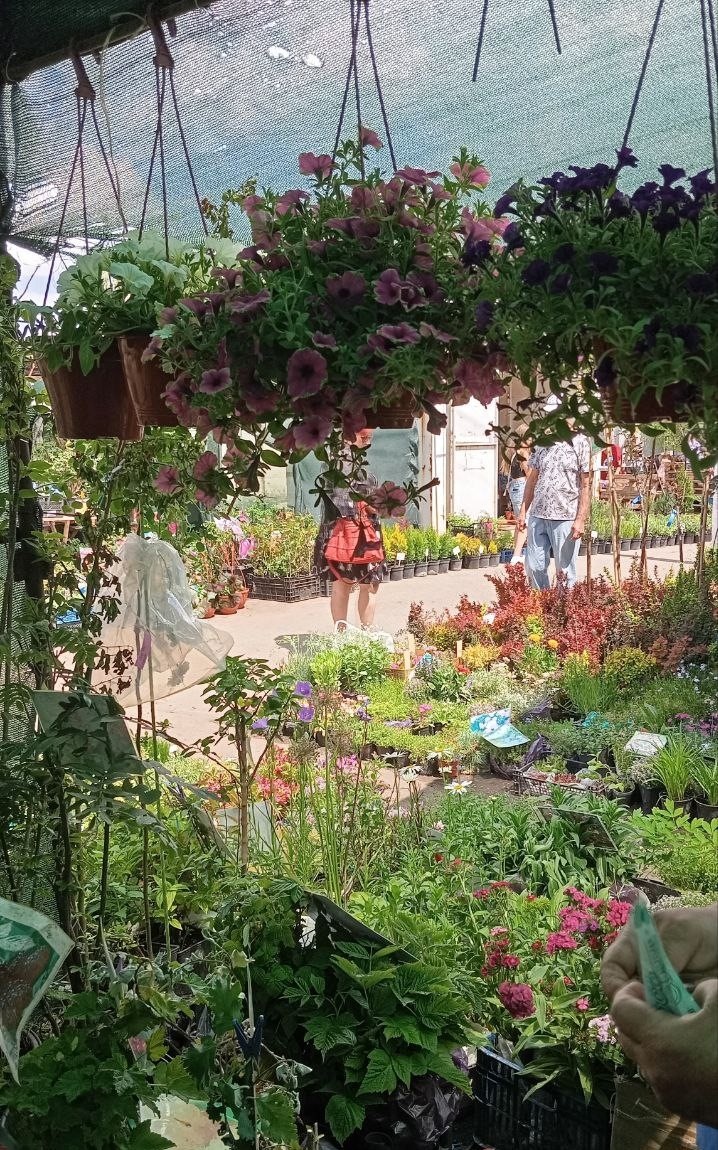 Фото автора.