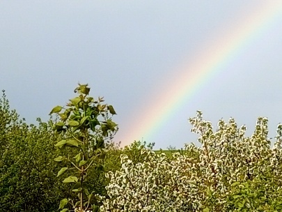 Радуга после грозы. Фото автора.