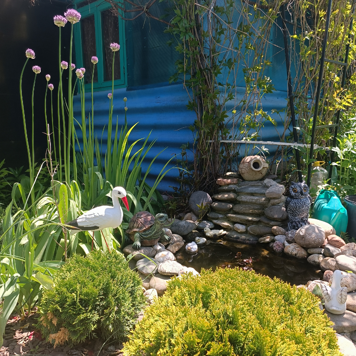 Уголок моего сада/ фото автора