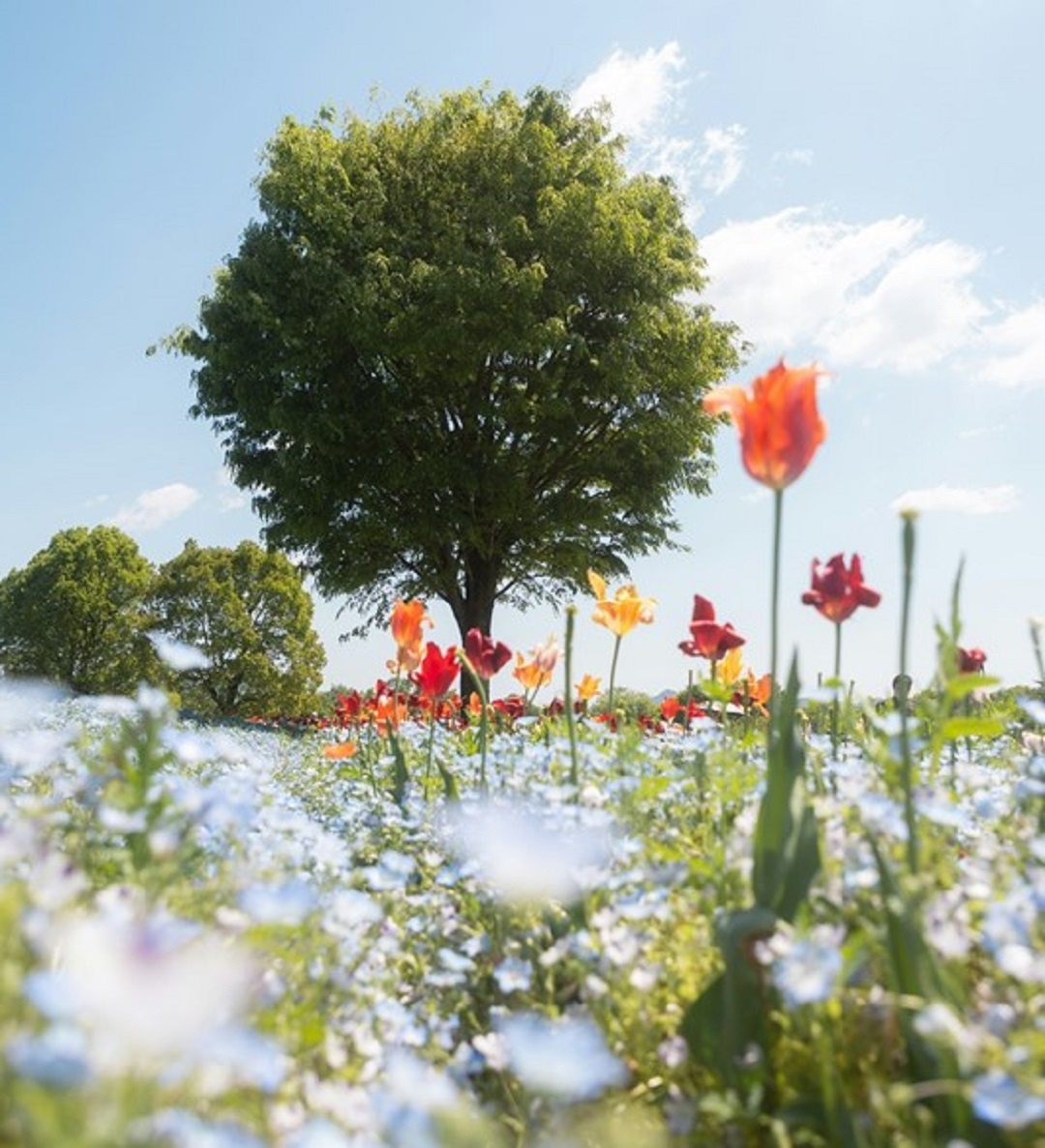 Источник: https://unsplash.com/