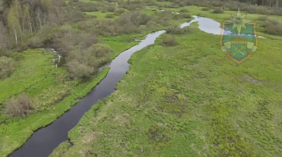    Фото: скриншот из видео пресс-службы аварийно-спасательной службы Ленобласти.