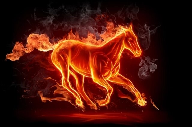    Фото: istockphoto.com/ M-I-S-H-A-