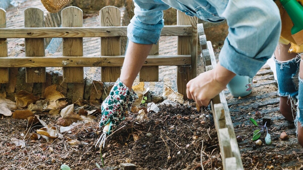     Источник: freepik.com