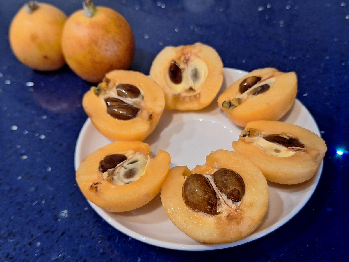 в ягодах несколько крупных семян, пишут, что у них очень хорошая всхожесть