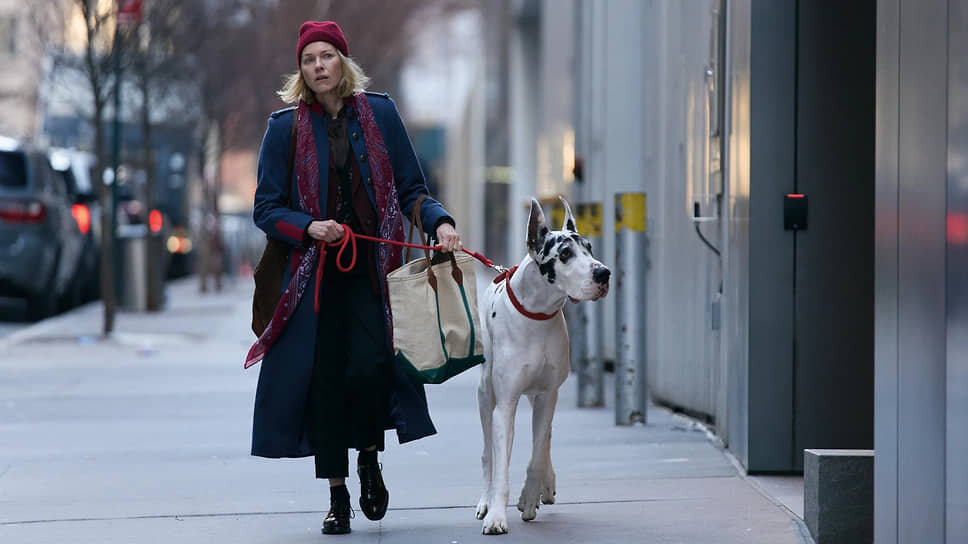 Датский дог Бинг ничуть не проигрывает двуногому актерскому составу во главе с Наоми Уоттс.📷Фото: «Вольга»