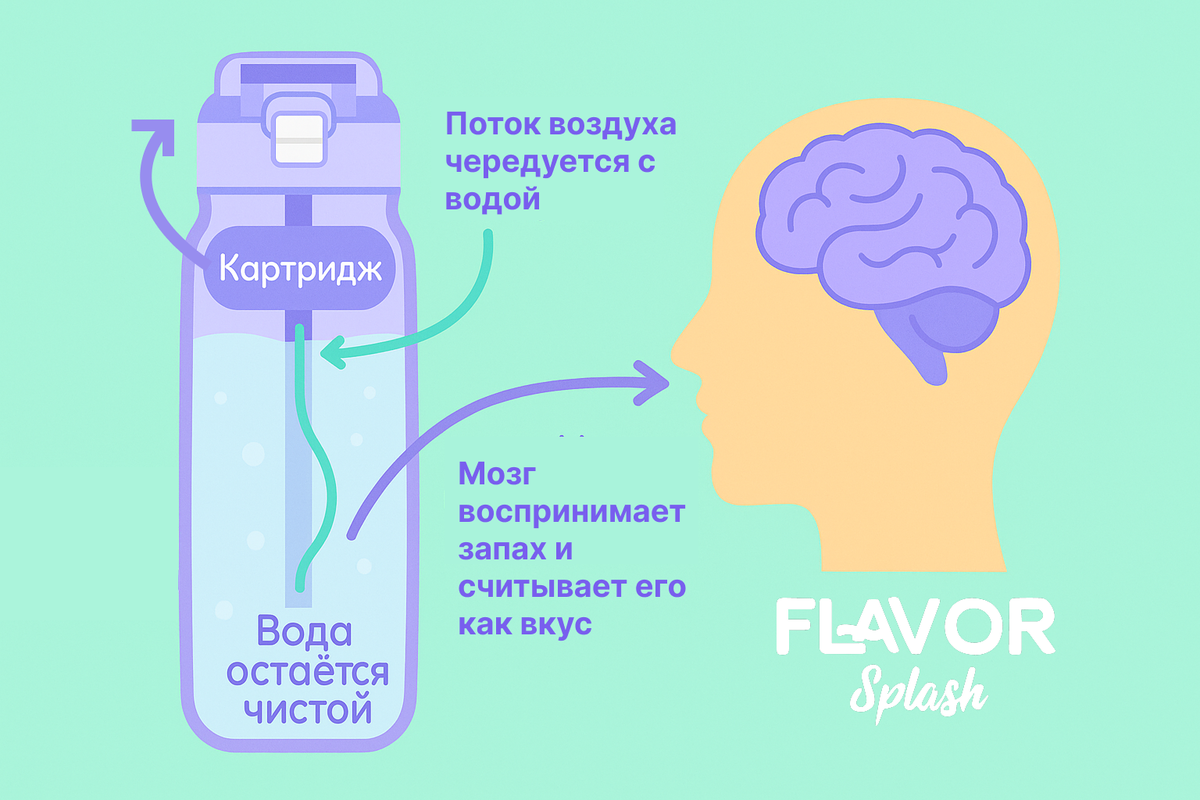Технология работы бутылки для воды со вкусами Flavor Splash