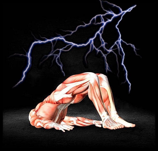 Источник: www.istockphoto.com