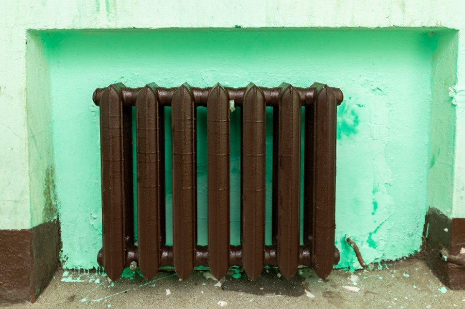    Фото: Aleksey Smyshlyaev/Globallookpress