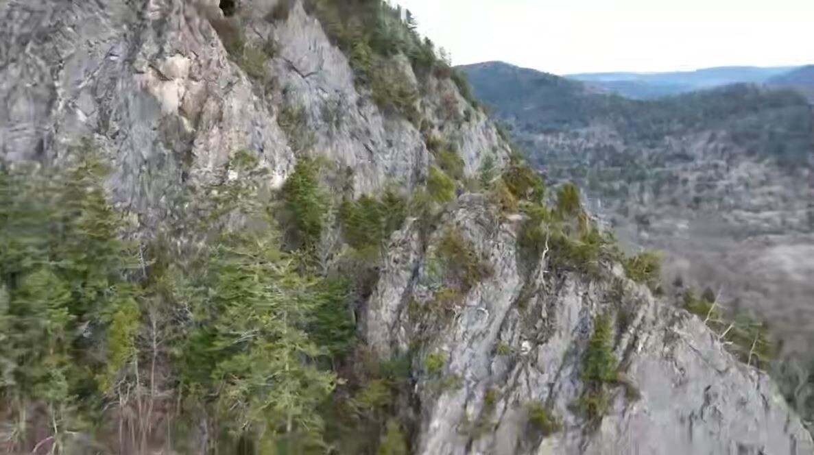     Источник: @amurleo_land