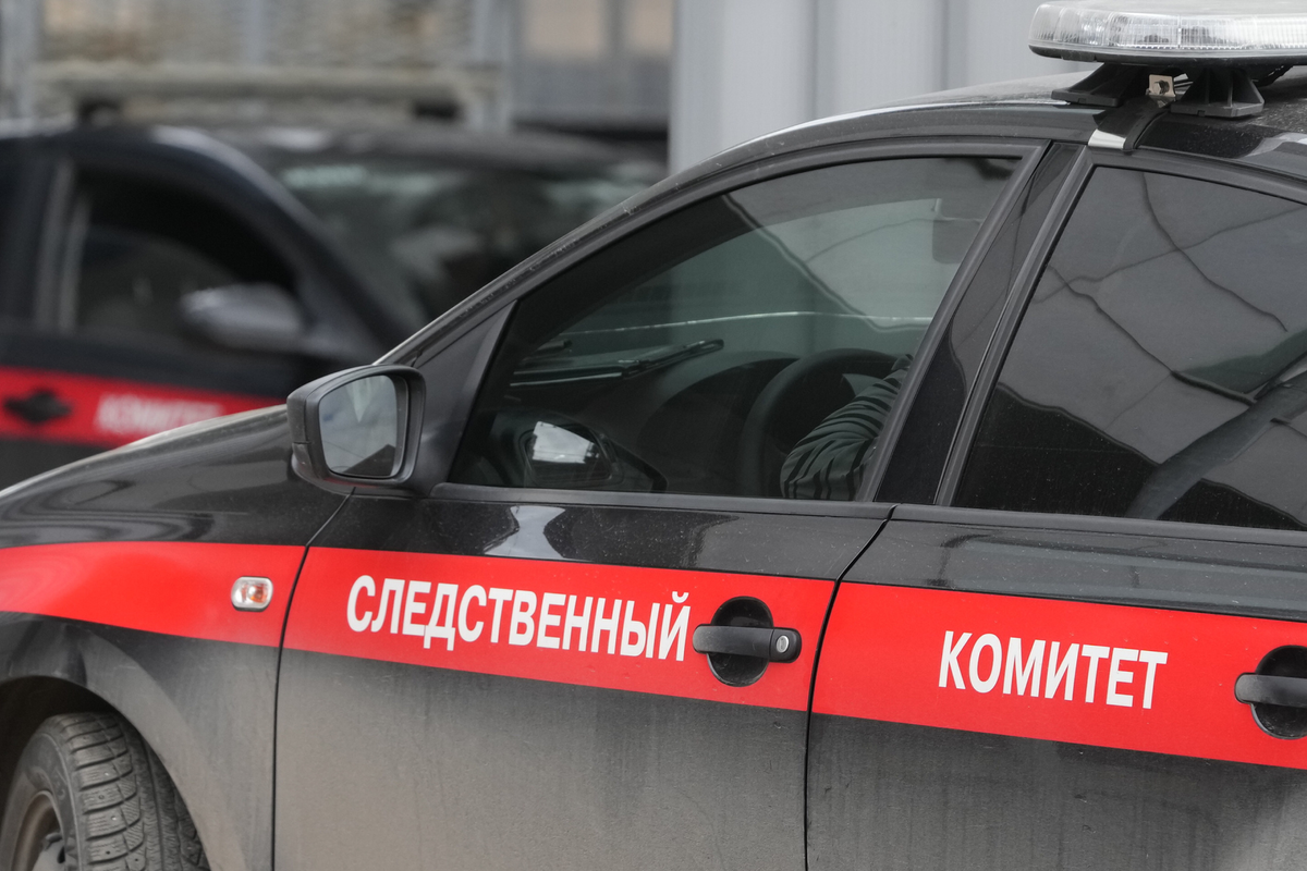     / Источник: © ИЗВЕСТИЯ/Дмитрий Коротаев