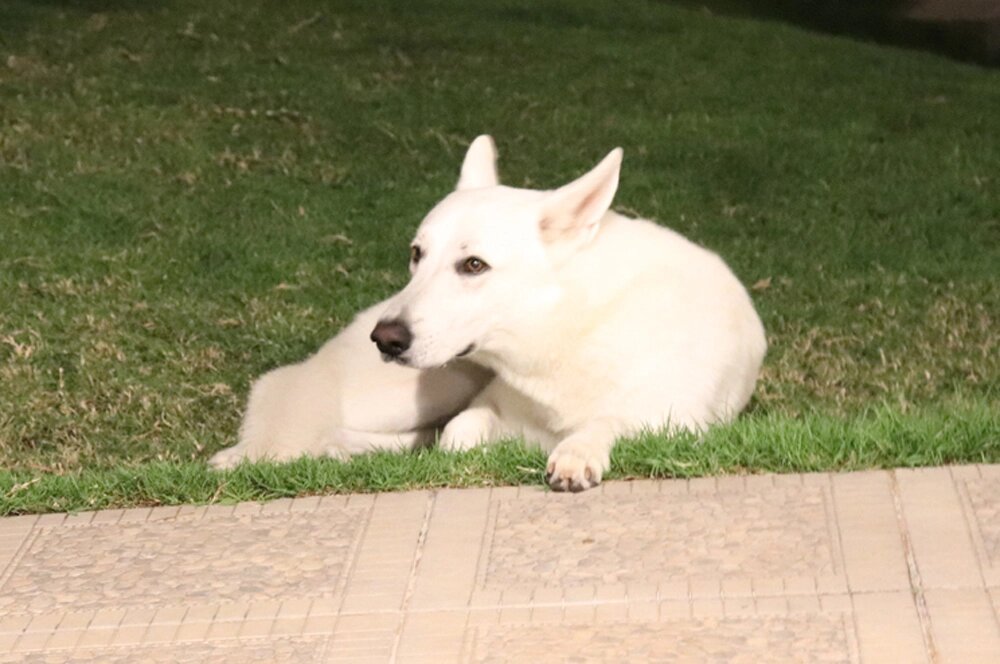    Фото: istockphoto.com