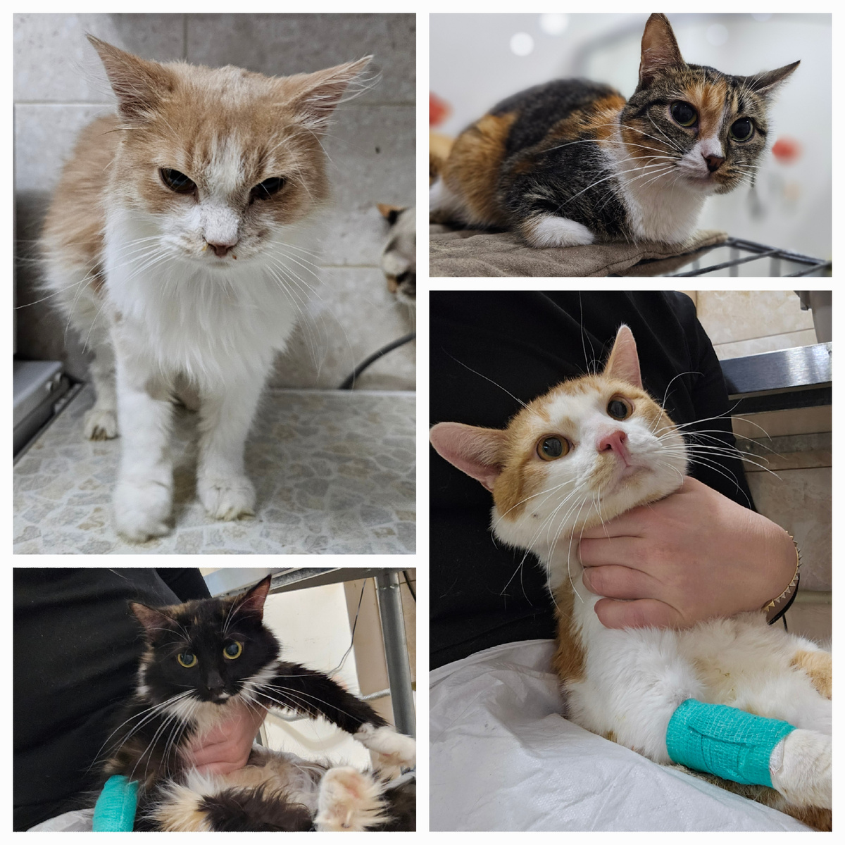 Фото автора. Ребята заболевшие фипом.