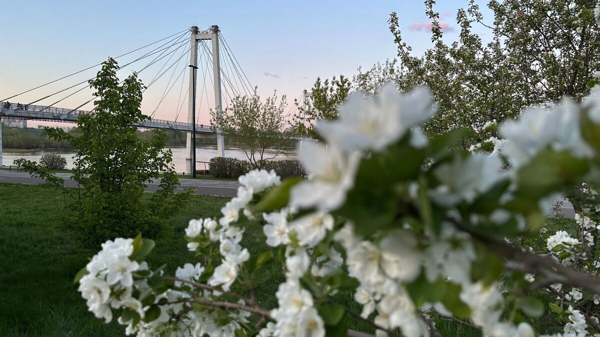     Источник: prmira.ru