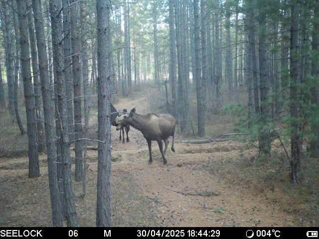 Листайте галерею, чтобы увидеть все фото.