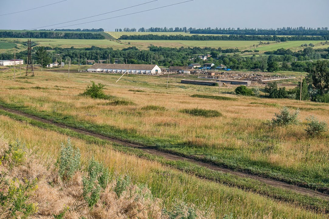 К западу от н.п. Чепель. Google.Earth