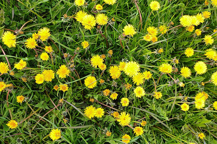    Фото из архива VN.ru