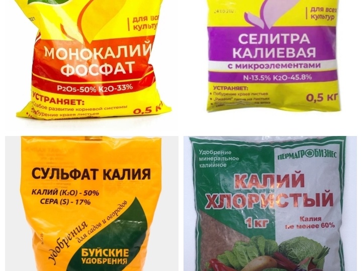 Чем заменить дорогой монофосфат. Про калийные удобрения