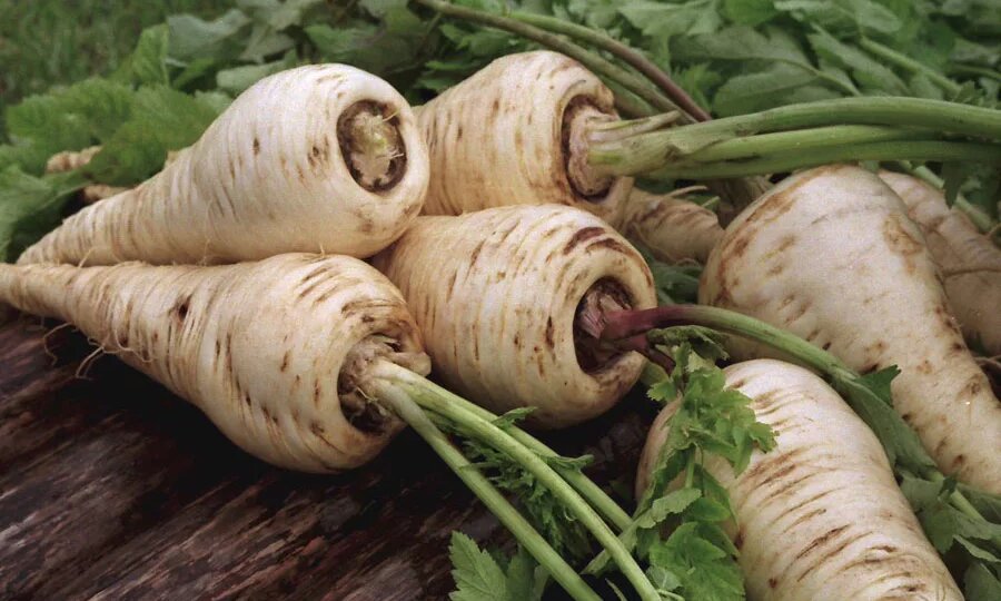 Мёд и орехи для мужика — временно. Благо есть 1 забытый продукт помогающий глубоко: гормоны, сосуды, сила. Особенно после 50.