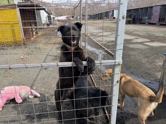    Фото: ПАО "Ростелеком"