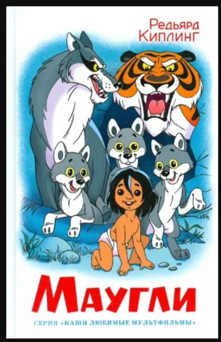 Такую книгу выдали в библиотеке