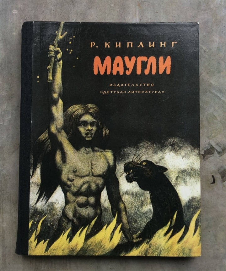 Нашла такую обложку. Как по мне, намного интереснее и точнее. 