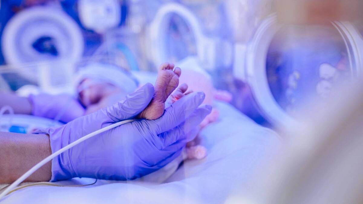    Фото: Iryna Inshyna/Shutterstock/Fotodom