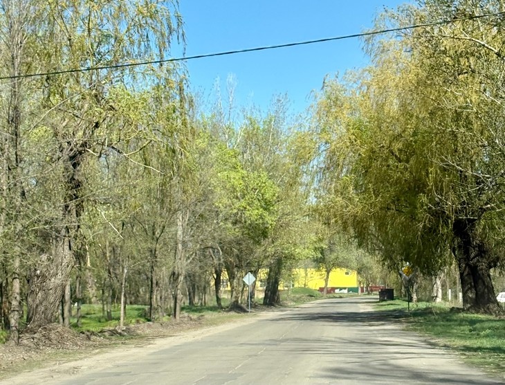    Народные приметы Редакция Газеты