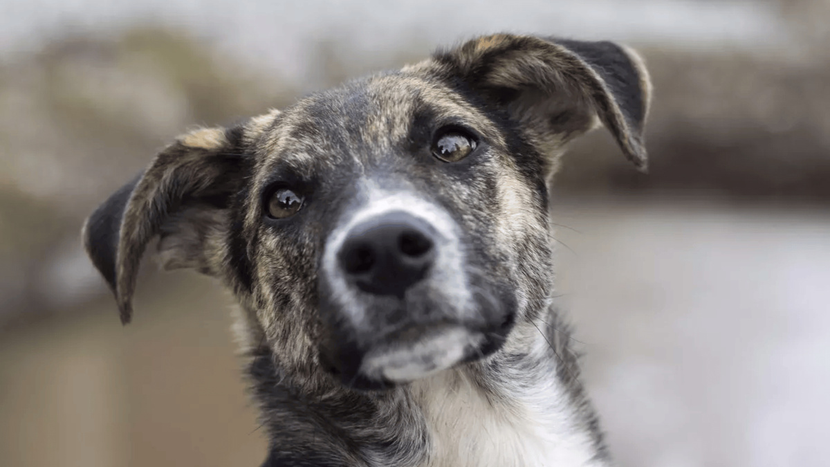 Что, если воспринимаемая вами ситуация на деле выглядит совершенно иначе? Фото Serhii Ivashchuk/iStock