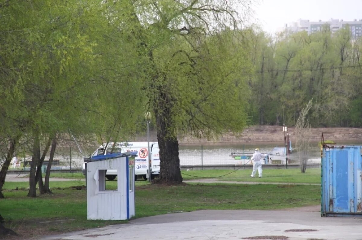    В Муравленко пройдет плановая дезинсекция городской территории