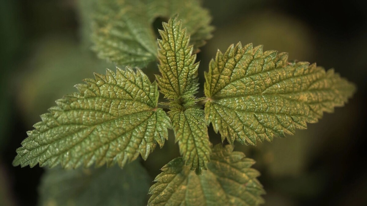     Источник: freepik.com