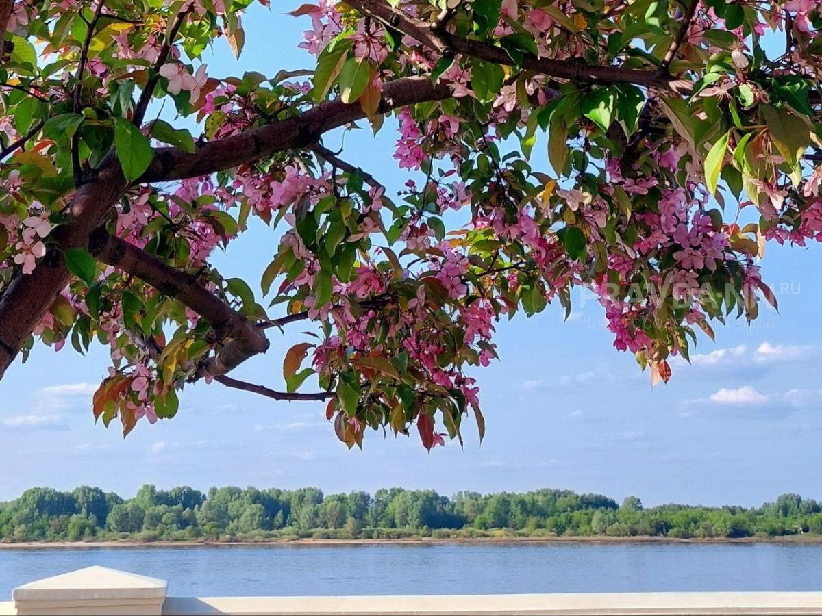    К концу выходных ожидается дождь