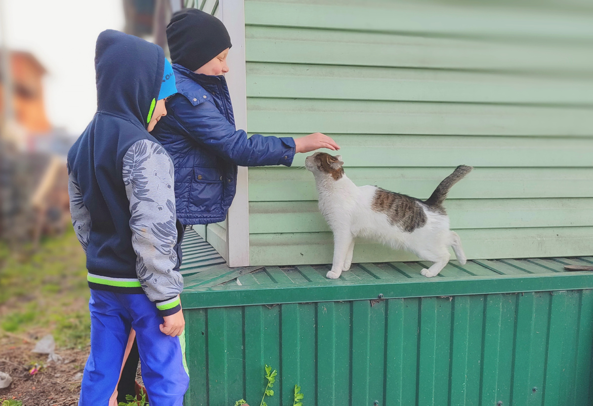 Вадим, Паша, кот Артём