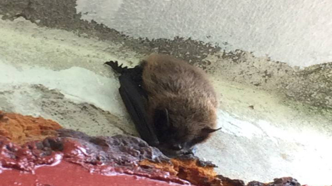 Фото: Северо-Западное Управление Росприроднадзора