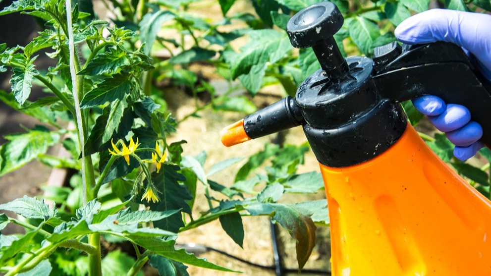 Дорогие препараты дают только временный эффект