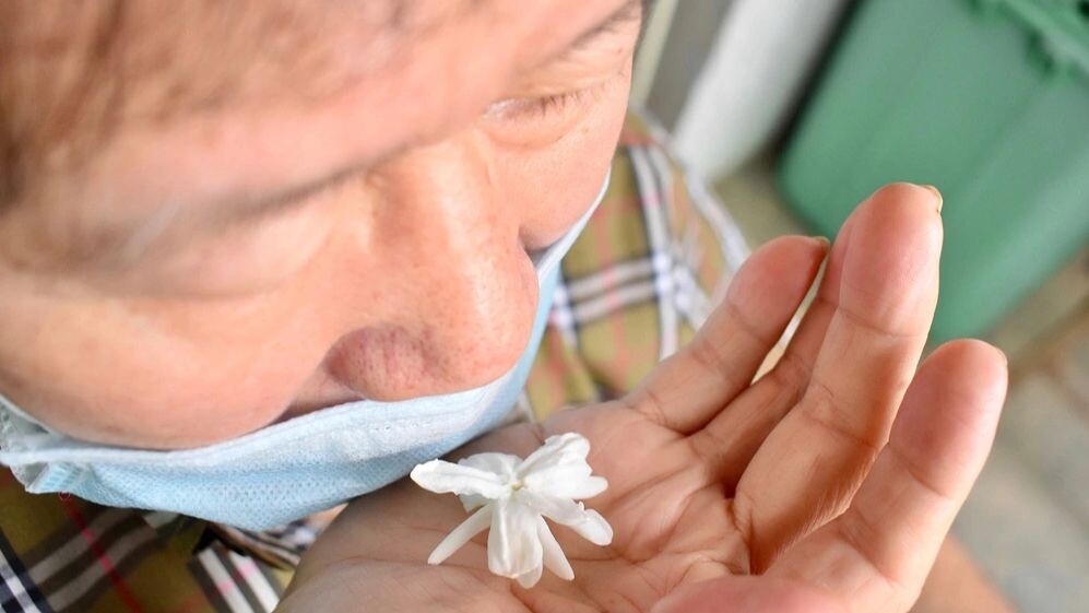    Фото: Zay Nyi Nyi/Shutterstock/Fotodom