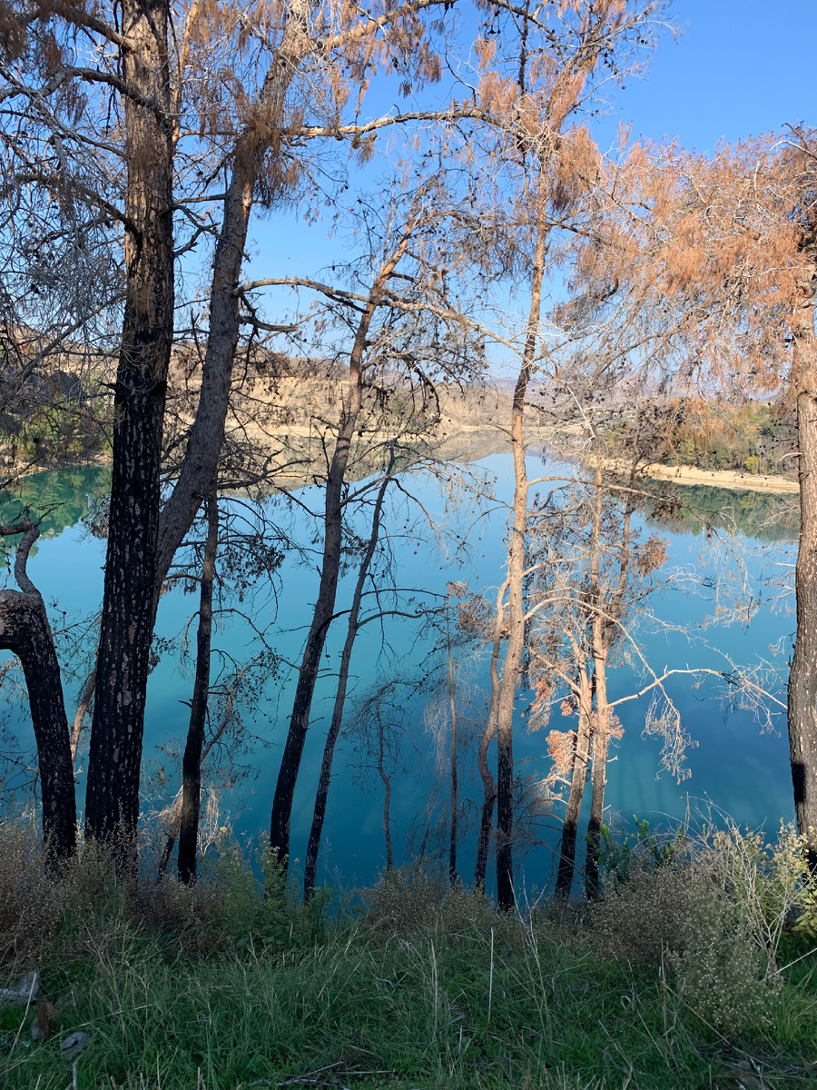 Личное фото. 