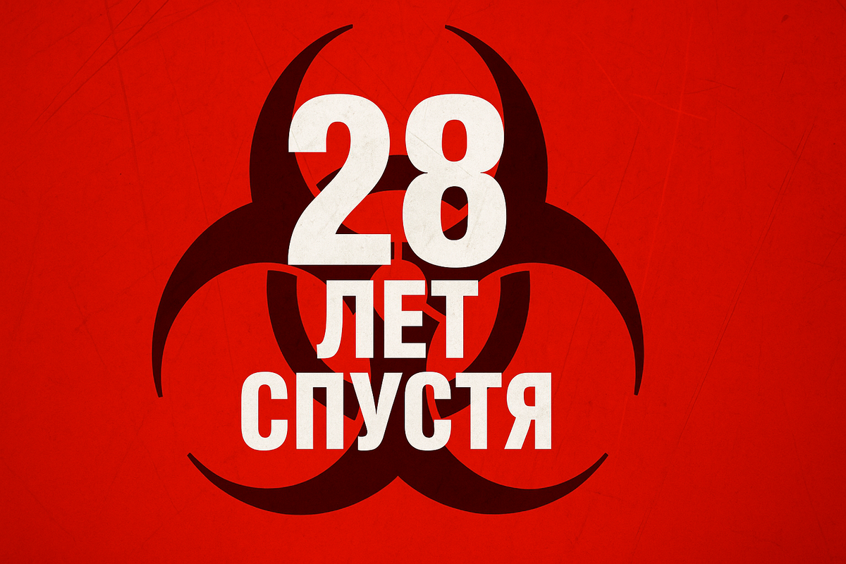 источник фото: фотографии в свободном доступе