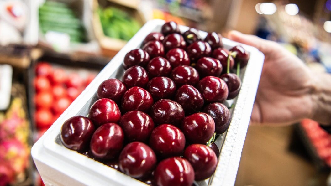    фото: Ilya Moskovets/URA.RU/Globallookpress